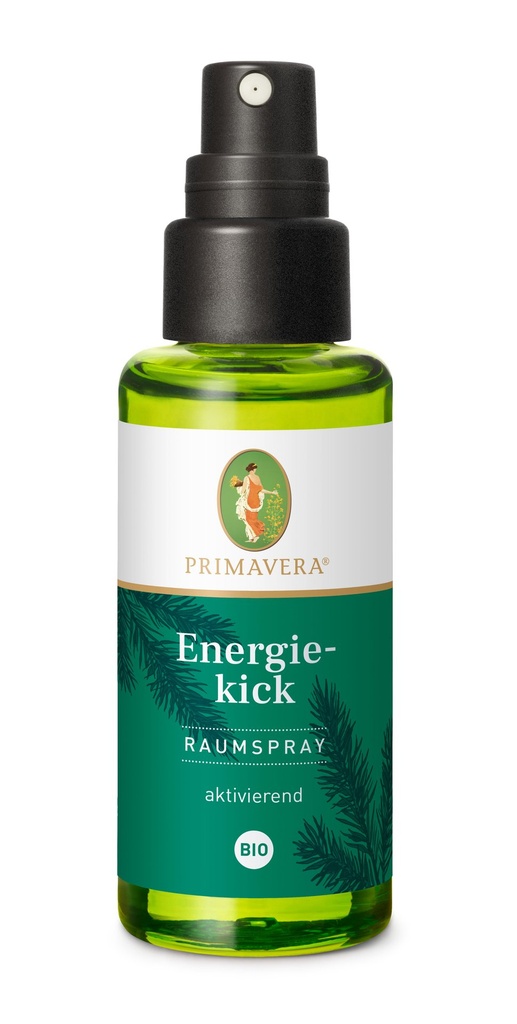 Energiekick Raumspray bio 50 ml